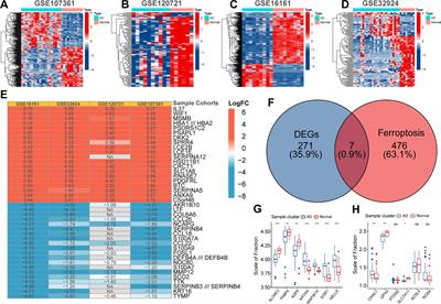 Computational recognition of regulator genes and signature for ferroptosis with implications on immunological properties and clinical management of atopic dermatitis